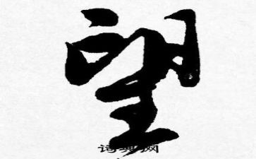 爱的希望作文7篇
