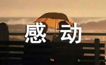 中国感动人物事迹推荐6篇