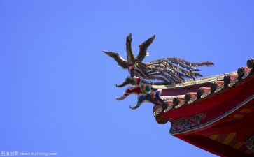 实文化作文推荐8篇