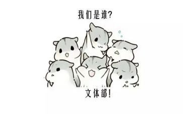 文体活动总结范文8篇