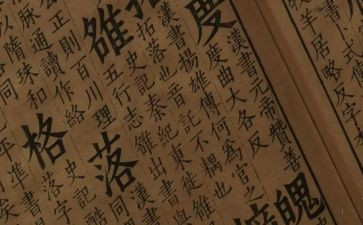文学场活动总结6篇