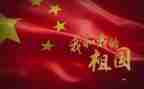 《我》的作文800字模板7篇