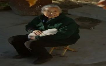 我的奶奶作文高中600字5篇