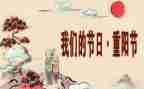 学校我们的节日春节活动总结6篇