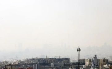 受污染调查报告模板6篇