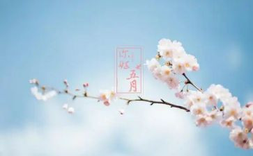 2024年小班五月份工作总结6篇