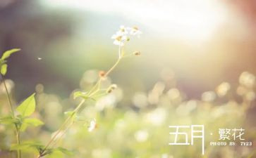 五月工作总结6篇