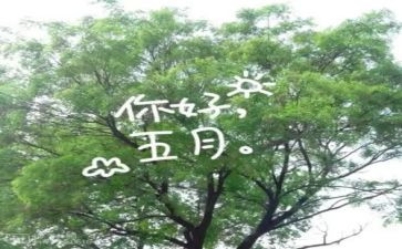 五月教师工作总结8篇