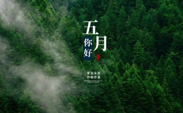 大大班五月工作总结5篇