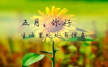 2024小班五月份工作总结7篇