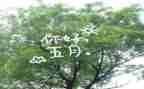 五月教师工作总结8篇