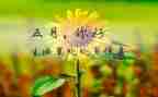 2024小班五月份工作总结7篇