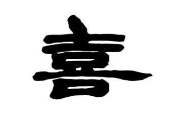 我喜欢的小动物二年级作文6篇