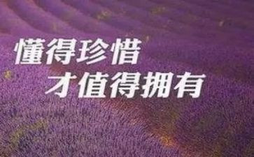 朝花惜拾读后感300字8篇