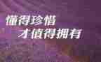 朝花惜拾读后感300字8篇