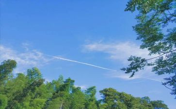 2023的夏令营活动总结5篇