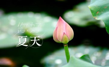 夏至节气作文5篇