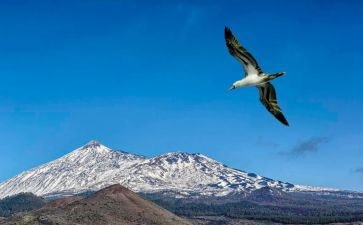 让梦想飞演讲稿参考6篇