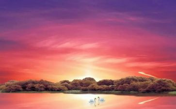 骆驼祥子12读后感200字8篇