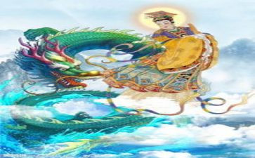 仙人球的教案7篇