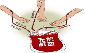 献血月活动方案8篇
