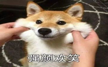 笑对挫折的演讲稿演讲稿参考7篇