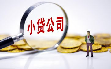 小贷款申请书6篇