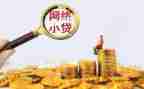 小贷款申请书通用5篇