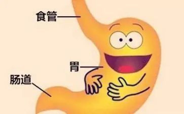 消化内科护士工作计划7篇