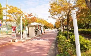 校内实训实训心得体会6篇