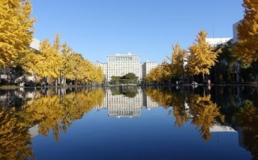 校内安全教育安全教案7篇