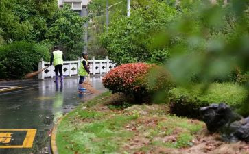 小区保洁的工作总结5篇