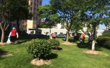 小区物业自我鉴定8篇