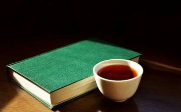 看小说读后感800字优秀5篇