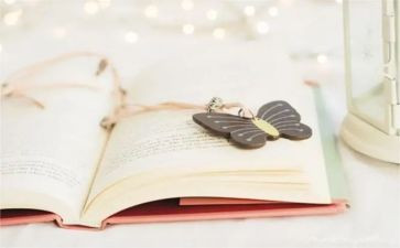 看小说有感作文7篇