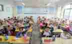 小学安全校长述职报告7篇