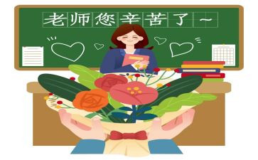 2024年小学教师个人总结模板6篇