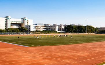 2023校园活动总结参考6篇