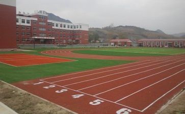 关于校园的作文300字参考5篇
