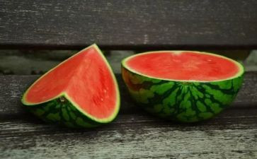 蚂蚁和西瓜教案7篇