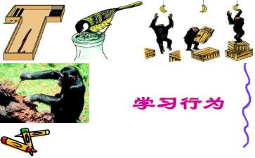 教师十项行为准则心得体会7篇