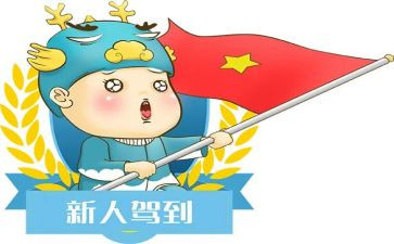 新人进公司工作总结精选7篇