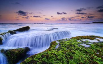 最欣赏的人演讲稿5篇