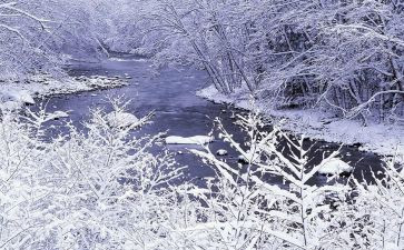 描写春雪的作文8篇
