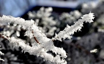 除雪工作调研报告推荐6篇