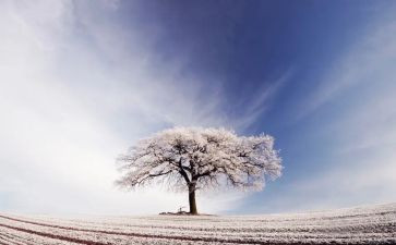 除雪工作调研报告最新6篇