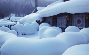 除雪实践活动总结最新8篇