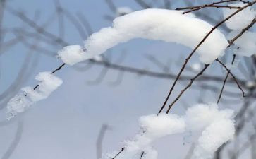 关于除雪工作总结5篇