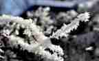 除雪活动总结8篇