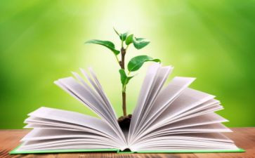 教学工作总结2024总结优秀5篇